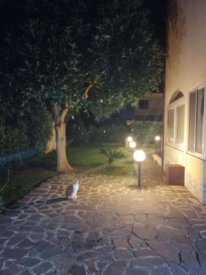 Villa Cavalluccio Marino Con Piscina Idromassaggio Carini Εξωτερικό φωτογραφία